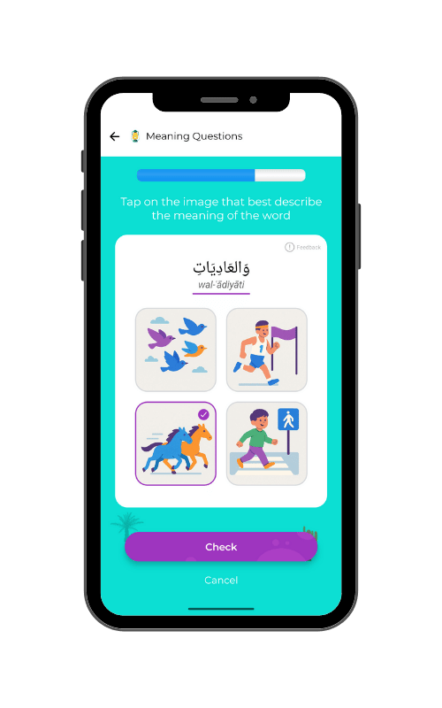 Visual Meaning Questions